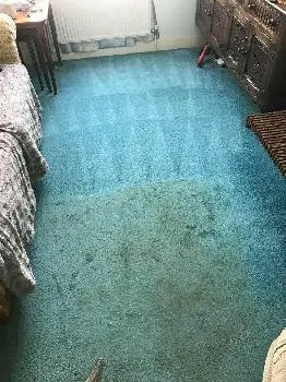 Хімчистка килимів Львів від CarpetClean.pro — фото 4
