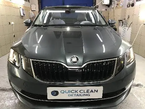 QUICK CLEAN — фото 3