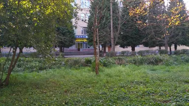 Новороздільський політехнічний коледж — фото 2
