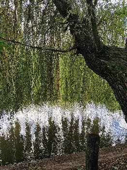 Енергія - Новий Розділ — фото 4