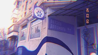 ЗооЛапка — фото