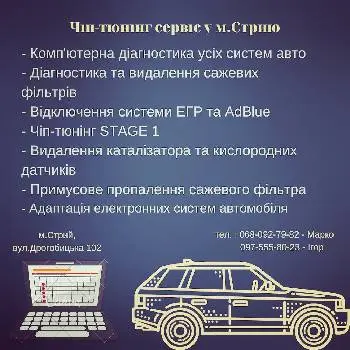 CHIP AUTO (Видалення сажевого фільтра, ЕГР,AdBlue, Виготовлення файлів прошивок)) — фото 3