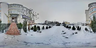 Доктор К — фото 2