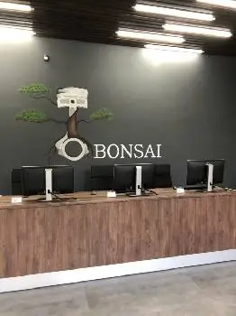 Bonsai — фото 2