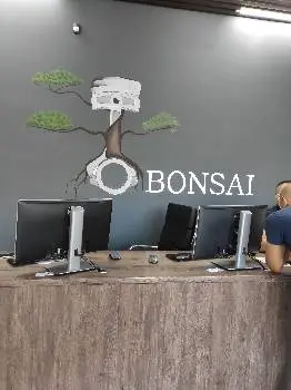 Bonsai — фото 5