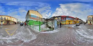 Домашні улюбленці — фото 5