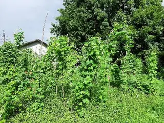 Стрийський фаховий коледж Львівського національного аграрного університету — фото 3