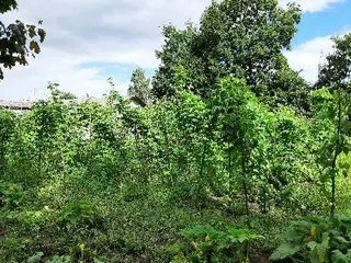 Стрийський фаховий коледж Львівського національного аграрного університету — фото 5