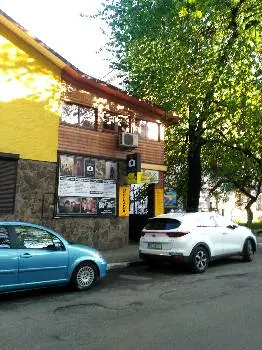 Зебра фотостудія — фото 2