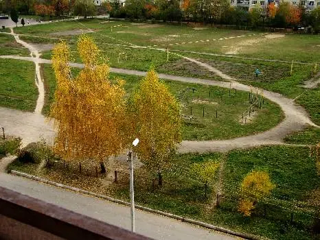 Загальноосвітня школа І-ІІІ струпенів №3 ім. Івана Франка — фото 5