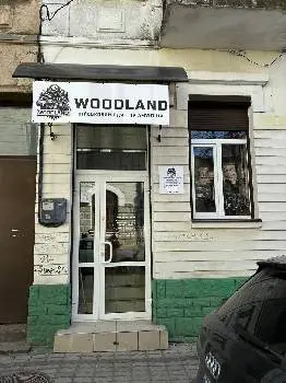 Woodland Військовий одяг та амніція — фото