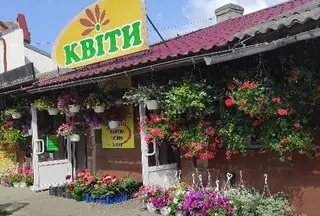 Novaflora Магазин квітів та подарунків — фото