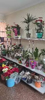Novaflora Магазин квітів та подарунків — фото 2