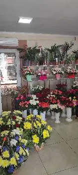 Novaflora Магазин квітів та подарунків — фото 5