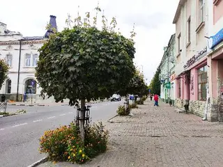 Стрийська міська рада — фото 4