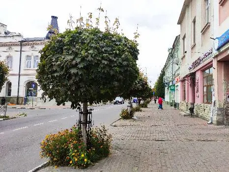 Стрийська міська рада — фото 4