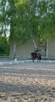 Кінний клуб "Dressage" — фото 2