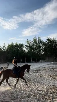 Кінний клуб "Dressage" — фото 3
