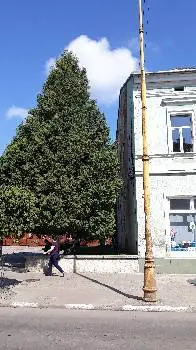 Центральна міська бібліотека Ім. М. Шашкевича — фото 4
