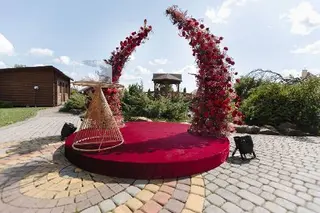 Студія декору та флористики "Mary Event Decor" — фото 5