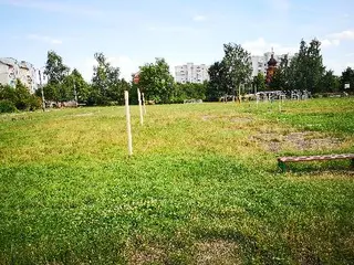 Дрогобицька загальноосвітня школа І-III ступенів № 17 — фото 5