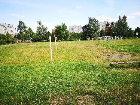 Дрогобицька загальноосвітня школа І-III ступенів № 17 — фото 5
