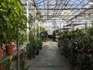 ТзОВ "Тандем" — фото