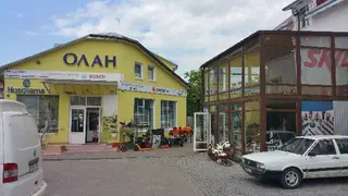 Олан - інструменти та садово-паркова техніка — фото