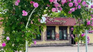 Приватний нотаріус Радзієвська Ольга — фото