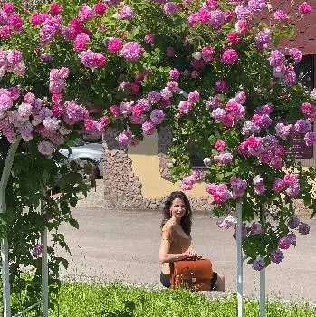 Приватний нотаріус Радзієвська Ольга — фото 2