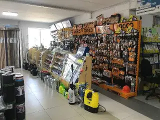Pro — фото