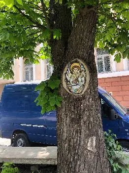 Дрогобицька податкова інспекція — фото 5