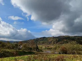 Землевпорядні та геодезичні послуги 4Zemel Land Services  — фото