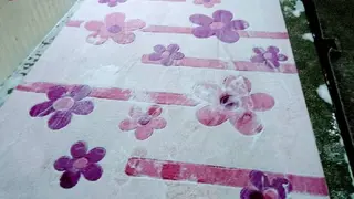 Хімчистка килимів — фото