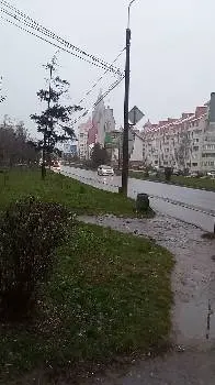 Хімчистка килимів — фото 2