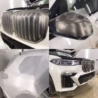 CHAMELEON — фото