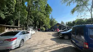 Малярка у Павліка — фото