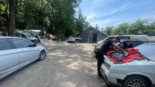 Малярка у Павліка — фото 2