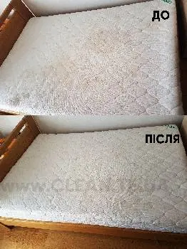 Клін | Clean.te.ua | Хімчистка меблів в м.Тернопіль — фото 5