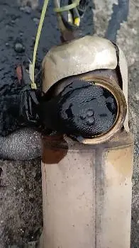 Чистка сажевого фільтра DPF/FAP та клапана EGR — фото 3