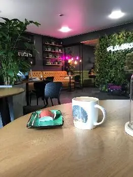 Flowering coffee gallery — фото