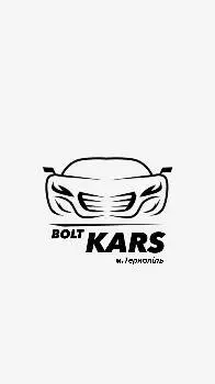 _BOLT_CARS_ — фото 5