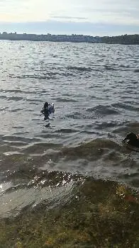 Синево — фото 3