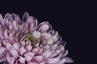 Стоматологія Dr.Nazarchuk — фото 5