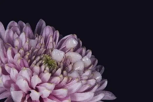Стоматологія Dr.Nazarchuk — фото 5