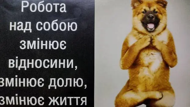 Перші регіональні курси масажу Тернопільська філія — фото 5