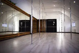 ROYAL Pole Dance - професійна студія повітряної гімнастики та танцю на пілоні — фото 2