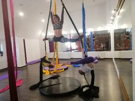 ROYAL Pole Dance - професійна студія повітряної гімнастики та танцю на пілоні — фото 5