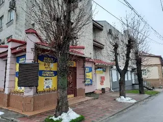 Психолог, психотерапевт Тетяна Шейкіна, ГО ПДП "Знайди себе" — фото 2
