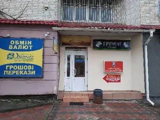 Психолог, психотерапевт Тетяна Шейкіна, ГО ПДП "Знайди себе" — фото 4